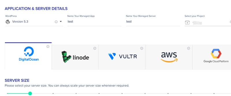 Cloudways server options